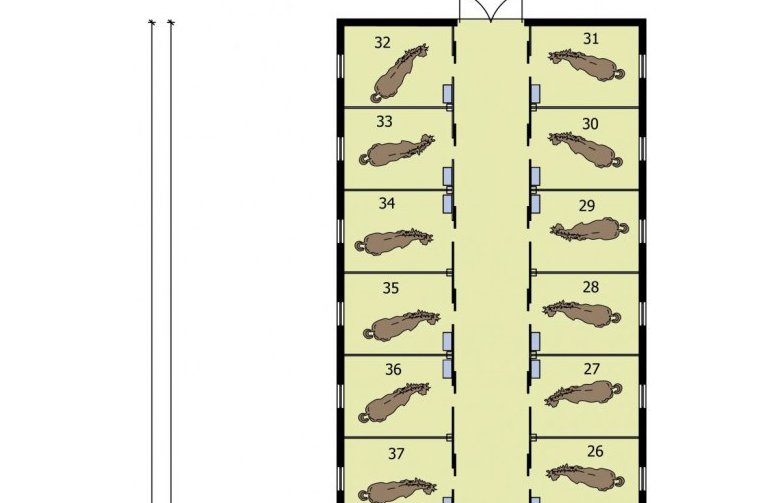 Projekt budynku gospodarczego S39 Stajnia dla koni - 37 boksów - rzut parteru cz. a