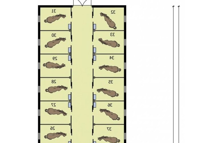 Projekt budynku gospodarczego S39 Stajnia dla koni - 37 boksów - rzut parteru cz. a