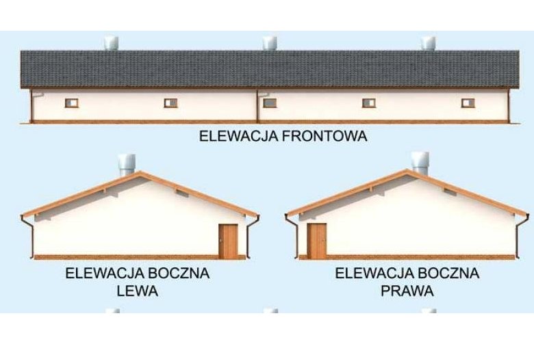 Projekt budynku gospodarczego Bi2 - Tuczarnia Budynek Inwentarski - elewacja 1