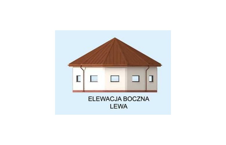 Projekt budynku gospodarczego S47 Lonżownia - elewacja 2