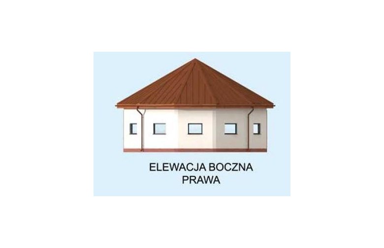 Projekt budynku gospodarczego S47 Lonżownia - elewacja 4