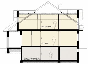 Przekrój projektu DJ 011 w wersji lustrzanej