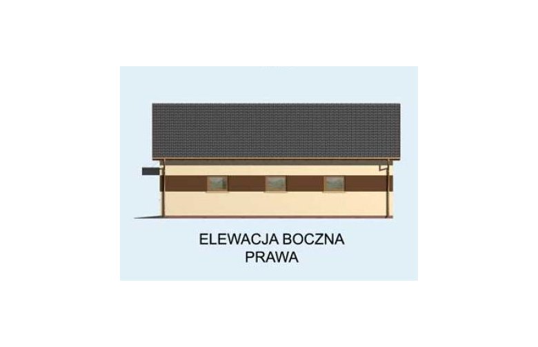 Projekt budynku gospodarczego  G163 garaż czterostanowiskowy z pomieszczeniami gospodarczymi - elewacja 4